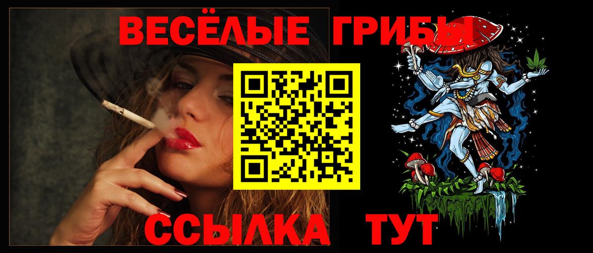 Галлюциногенные грибы Magic Shrooms  Вход с VPN  Псилоцибиновые грибы Psilocybe  Куйбышев 